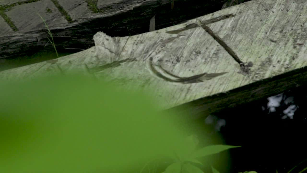 un primer plano en cámara lenta de nfct