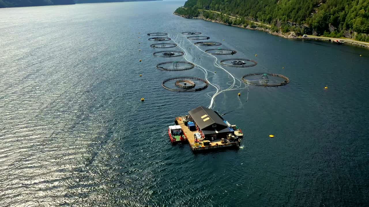 노르웨이에서 연어  ⁇ 시를 하는 공중 촬영