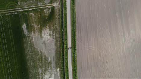 Dos-Personas-Andando-En-Bicicleta-Por-Una-Carretera-Entre-Dos-Campos-En-Los-Países-Bajos