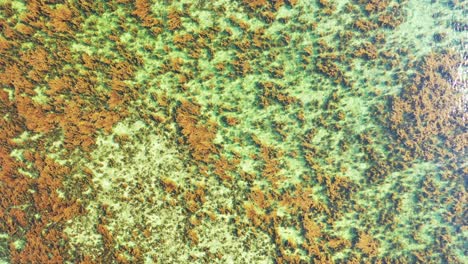 flyover the beautiful coral reef in the crystal clear water revealing granite rocks