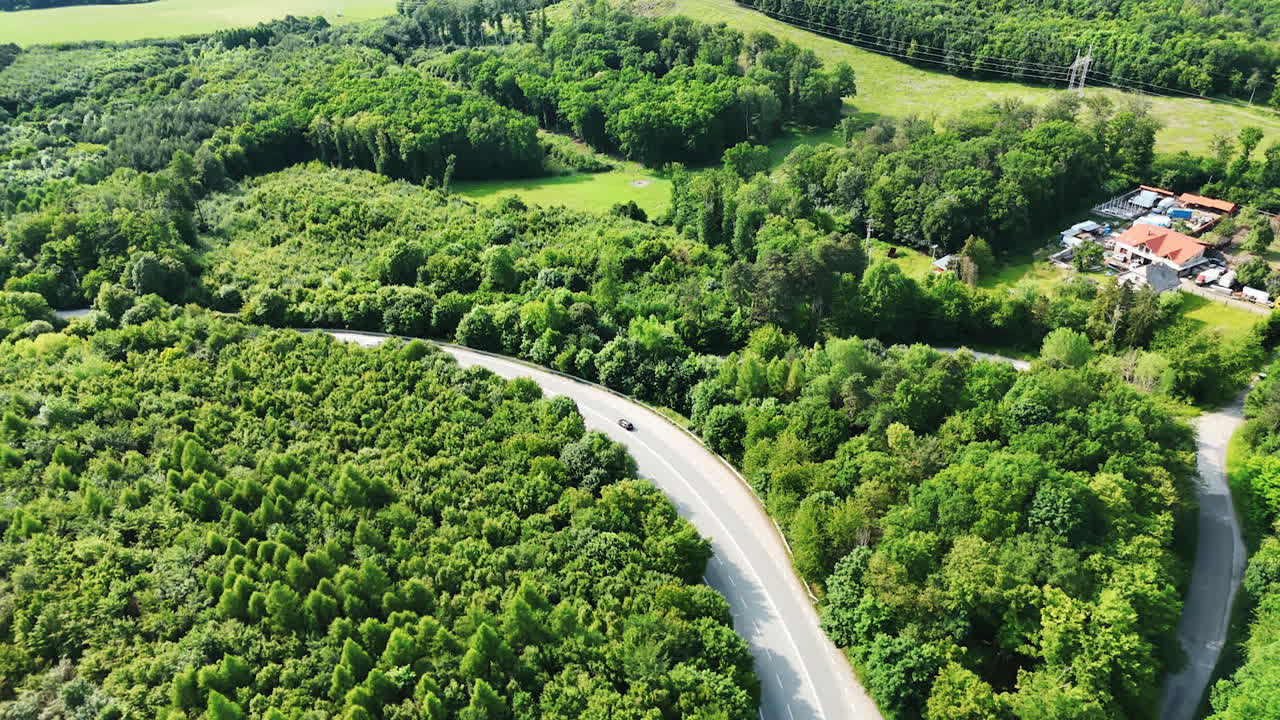 Countryside road winding between lush green trees. A countryside road winds between lush green trees in a scenic forest landscape. Aerial view shows a peaceful natural environment