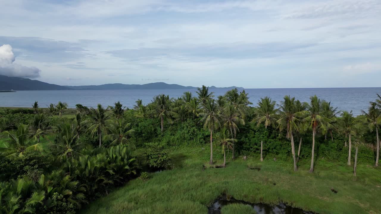 청록색 바다와 산 실루엣이 배경에 있는 목가적인 야자수로 가득한 해변가 정글의 오버헤드 드론 샷