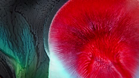 colisión de tinta roja y turquesa vibrante en el agua con patrones dendríticos, que se asemejan a los tejidos orgánicos