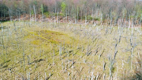 Bernsteinberg-Heiligtum-In-Lublewo-GdaÅ„skie,-Polen