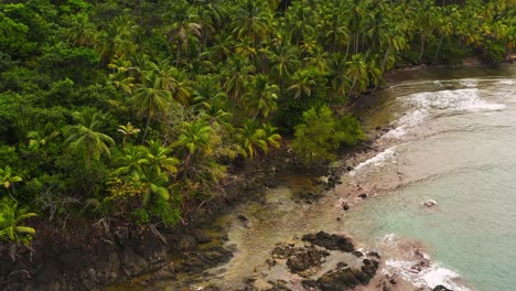 Aerial-slow-push-in-above-tropical-coastal-palm-tree-forest-jungle-wilderness-on-Panama-island-scene