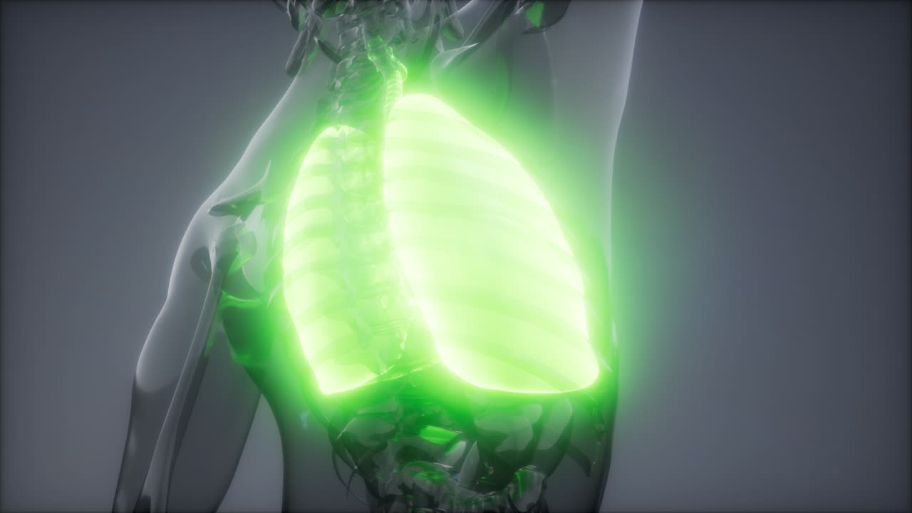 인간의 폐 방사선 검사