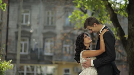 una pareja de bodas, un novio y una novia encantadores, una familia feliz, un hombre y una mujer enamorados.