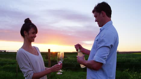 Pareja-Romántica-Tomando-Champán-En-El-Campo