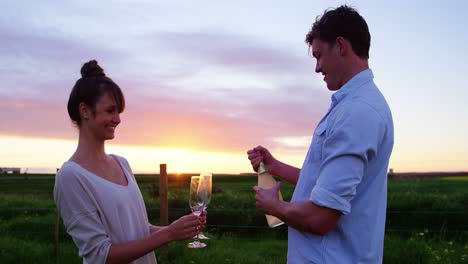 romantic couple having champagne in field