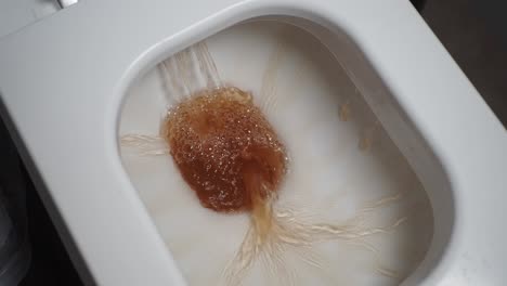 lavado de inodoros con agua marrón