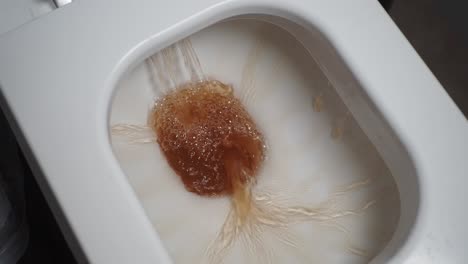 toilet flushing with brown water