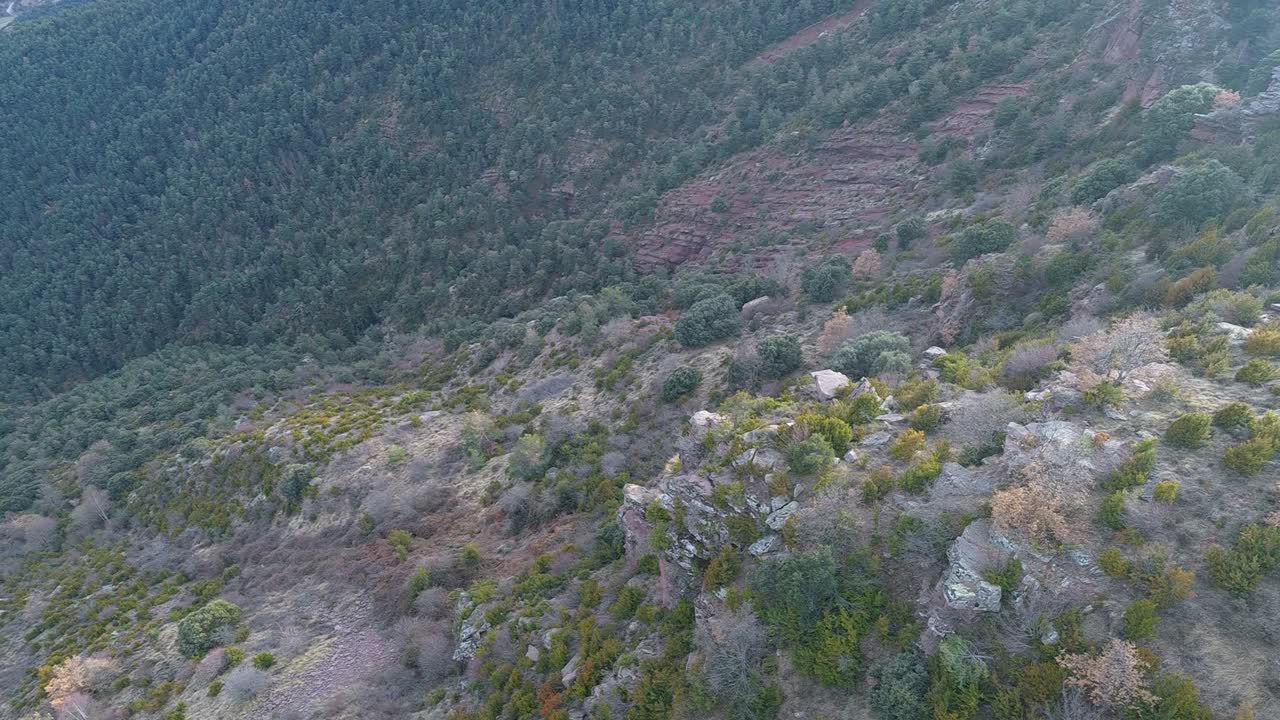 volar sobre los árboles y las montañas de los cerros del cantó