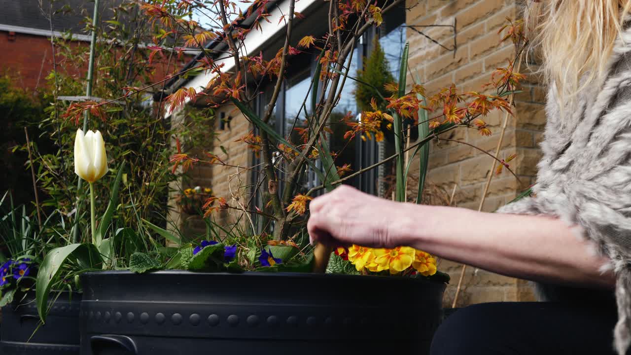 중간 4k 촬영 된 느린 동작 초상화에서 꽃 바구니를 가꾸는 여성