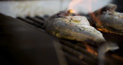 cook grilling fish in kitchen 1