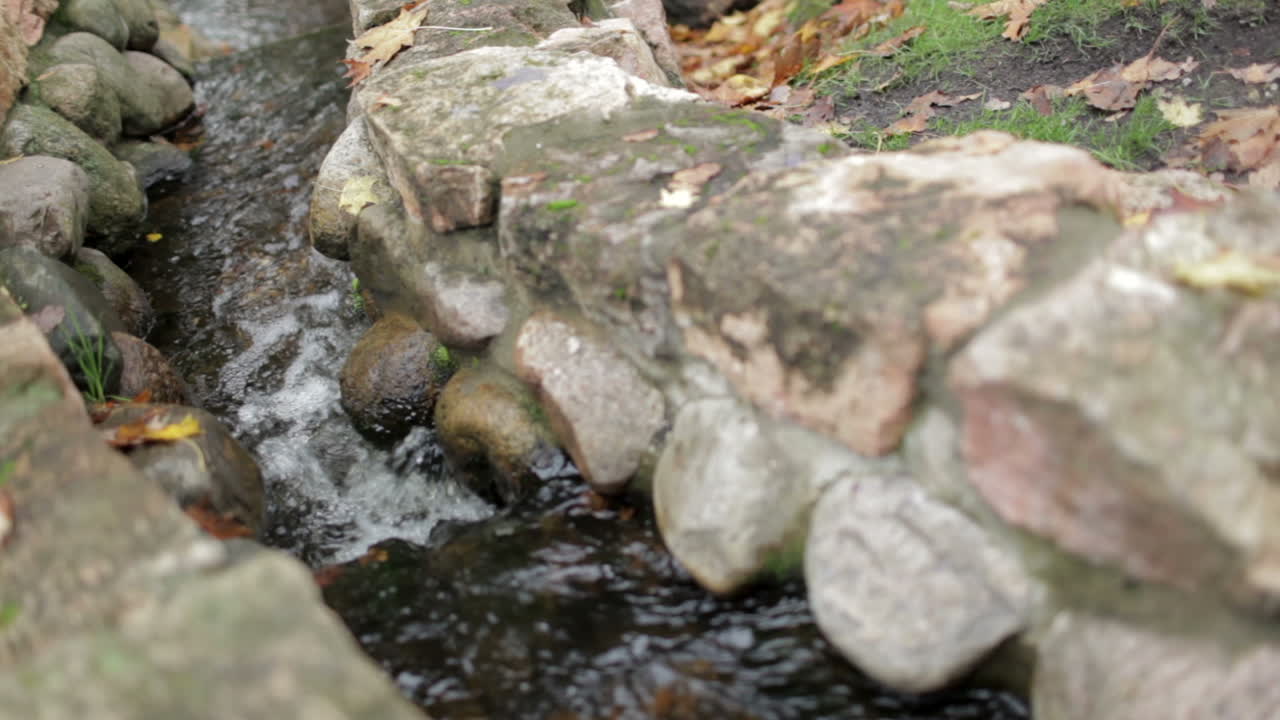 The stream in a city park
