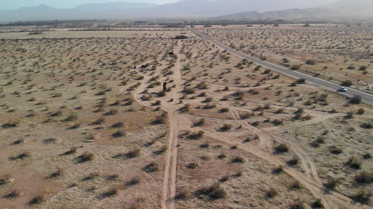 캘리포니아 보레고 스프링스 근처의 건조한 사막과 금속 조각품의 광대한 공중 팬업