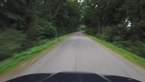 pov conduce en un bosque en el oeste de dinamarca