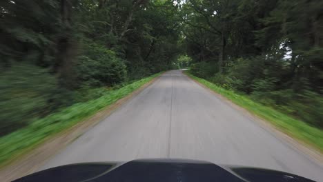 pov drive in a forest in western denmark