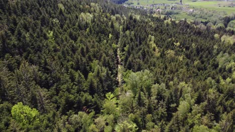 綠色山林的空中無人機景色 上下 4k