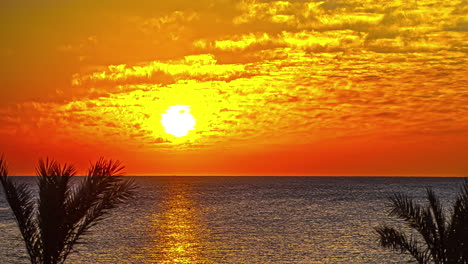 timelapse de colorido amanecer sobre un mar tranquilo y palmeras en un día nublado