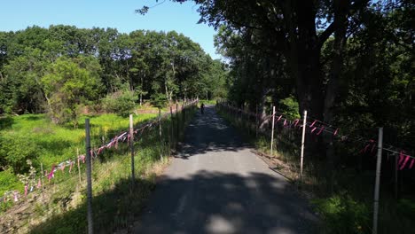 una vista de avión no tripulado sobre un camino pavimentado en un parque en un día soleado