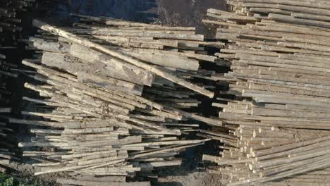 endless piles of wood at a lumber processing plant in oregon, united states