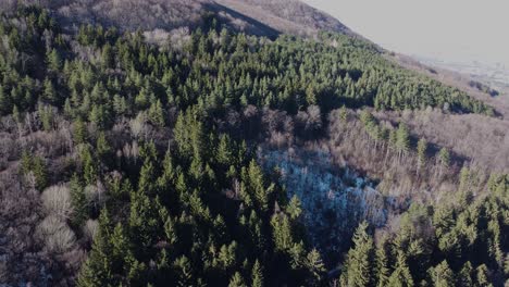 Clip-Cinematográfico-De-Drones-De-4k-Sobre-Los-Bosques-Del-Macizo-De-Vitosha,-Cerca-De-Sofía,-Bulgaria