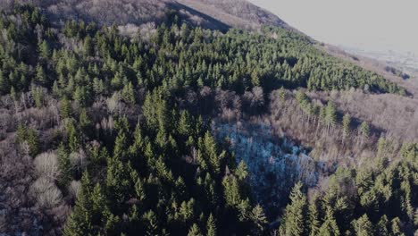 cinematic 4k drone clip over the forests of vitosha massif, close to sofia, bulgaria