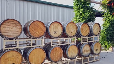 una toma panorámica de barriles de vino en un pequeño viñedo en el centro de california