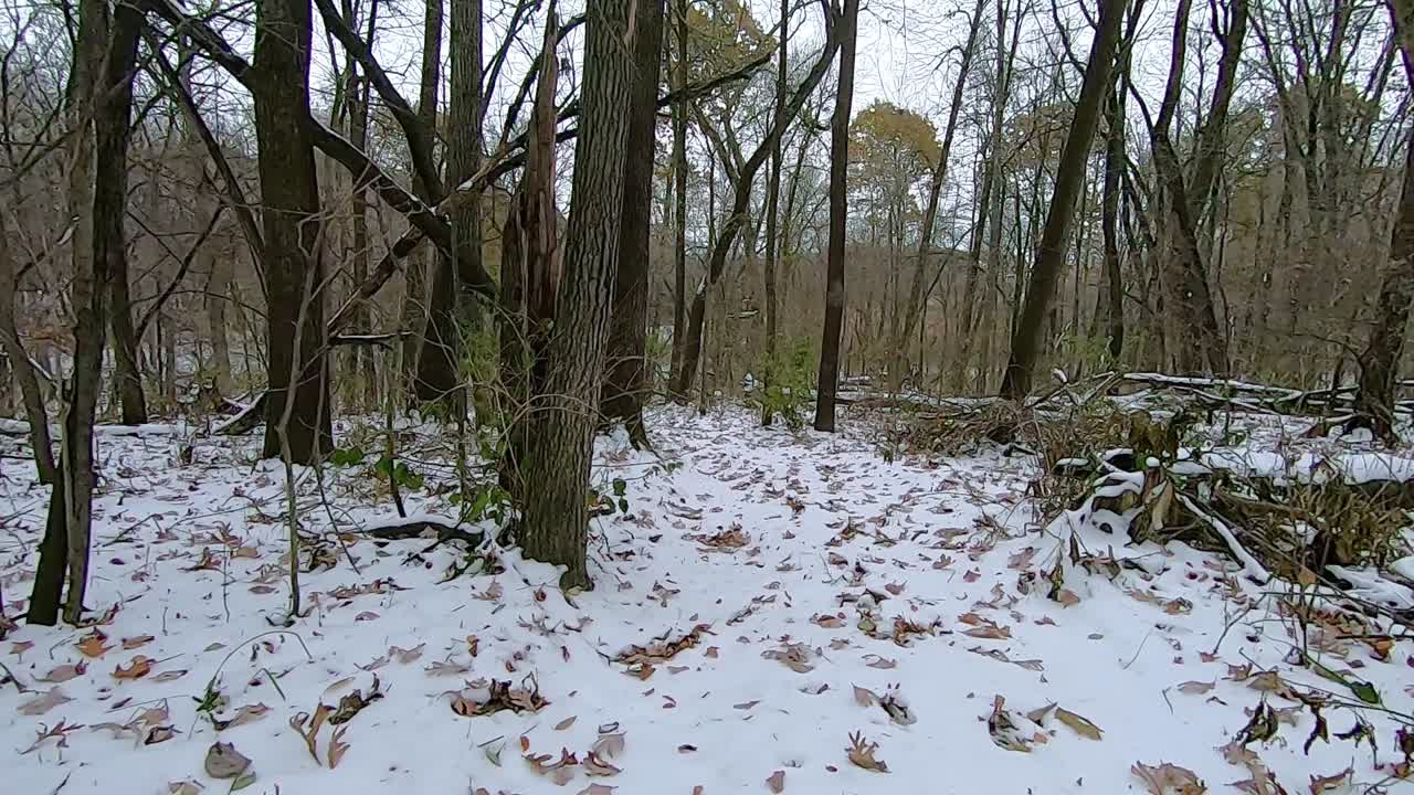 Punto di vista dal retro di un veicolo fuoristrada ATV mentre si guida su un sentiero innevato in salita attraverso il bosco in un primo pomeriggio invernale; POV.