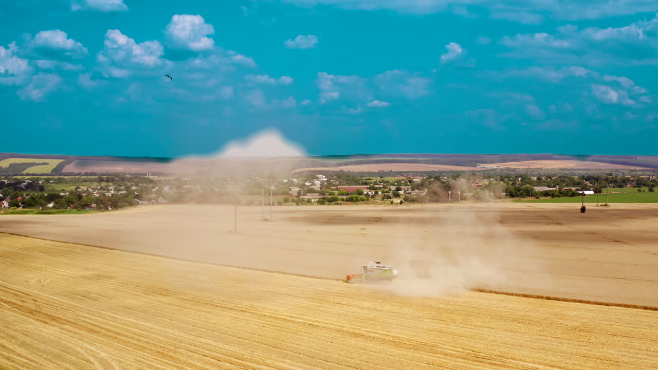 Wheat farm with combine harvester. Harvest aerial landscape of combine harvester cutting summer wheat field crop