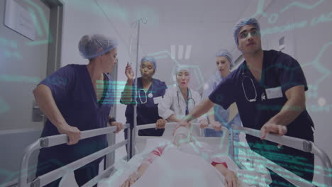 animation of medical data over diverse female and male doctors pushing patient in hospital bed