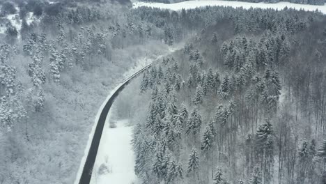 Dolly-shot-over-a-winter-landscape-with-an-empty-road-and-many-snow-covered-trees-with-a-turning-shot-at-snow-covered-building-of-a-little-town