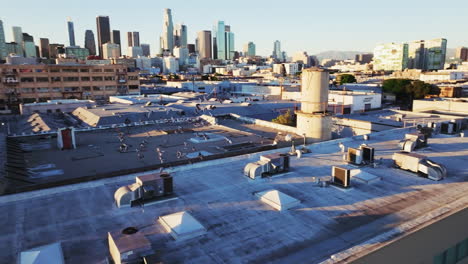 flock of birds flying over downtown los angeles rooftops at golden hour