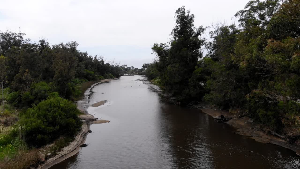 video aereo recorriendo el rio con forestacion a sus alrededores