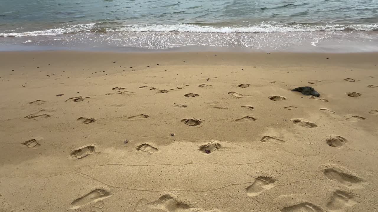 Impronte umane sulla spiaggia sabbiosa di Masoala. Madagascar