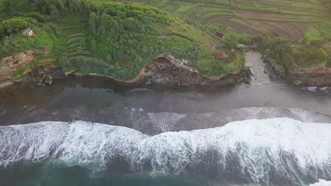 sliding drone shot of cliff overgrown by tress border with the sea