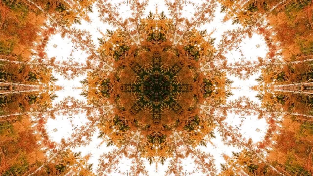 Loop di caleidoscopio astratto. Caleidoscopio senza soluzione di continuità con forme di fiori.
