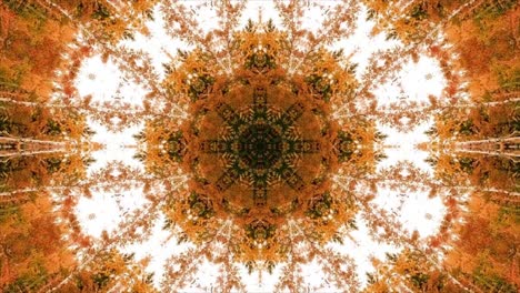 ciclo de caleidoscopio abstracto. las formas de las flores ciclo de kaleidoscopio sin costuras