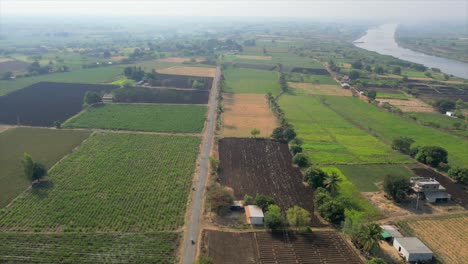 Grün-Ernte-Feld-Vogelperspektive