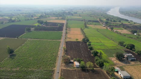 greenery crop field bird eye view