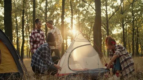 A-team-of-four-people-during-a-hike-in-plaid-shirts-set-up-their-tents:-a-small-tent-in-a-sunny-summer-forest.-A-small-group-of-people-stopped-to-rest-during-a-hike-and-are-preparing-to-spend-the-night-in-the-summer-forest