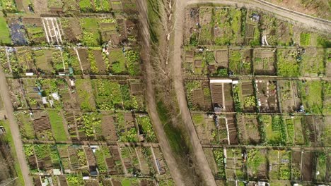 Luftaufnahmen-Von-Gemeinschaftlichen-Gemüsegartengrundstücken-Mit-Kleinen-Schuppen