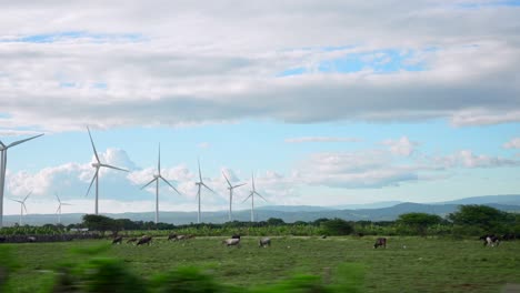 passing by wind farms and green meadows with grazing cows against the background of high mountains.