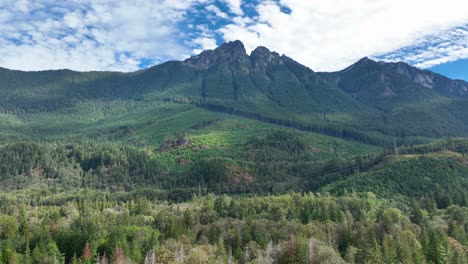amplia vista aérea de los árboles que rodean las vastas montañas en el estado de washington