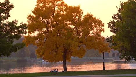 fall colors in the city park of denver, colorado