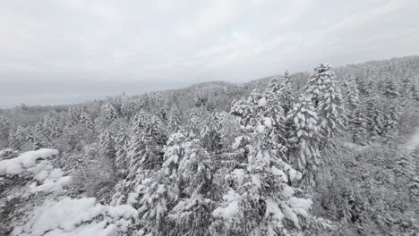 Vista-Aérea-De-Vuelo-Entre-árboles-Nevados-En-Un-Día-Nublado-En-El-Bosque-De-Jorat,-Cantón-De-Vaud,-Suiza---Disparo-De-Drones-Fpv