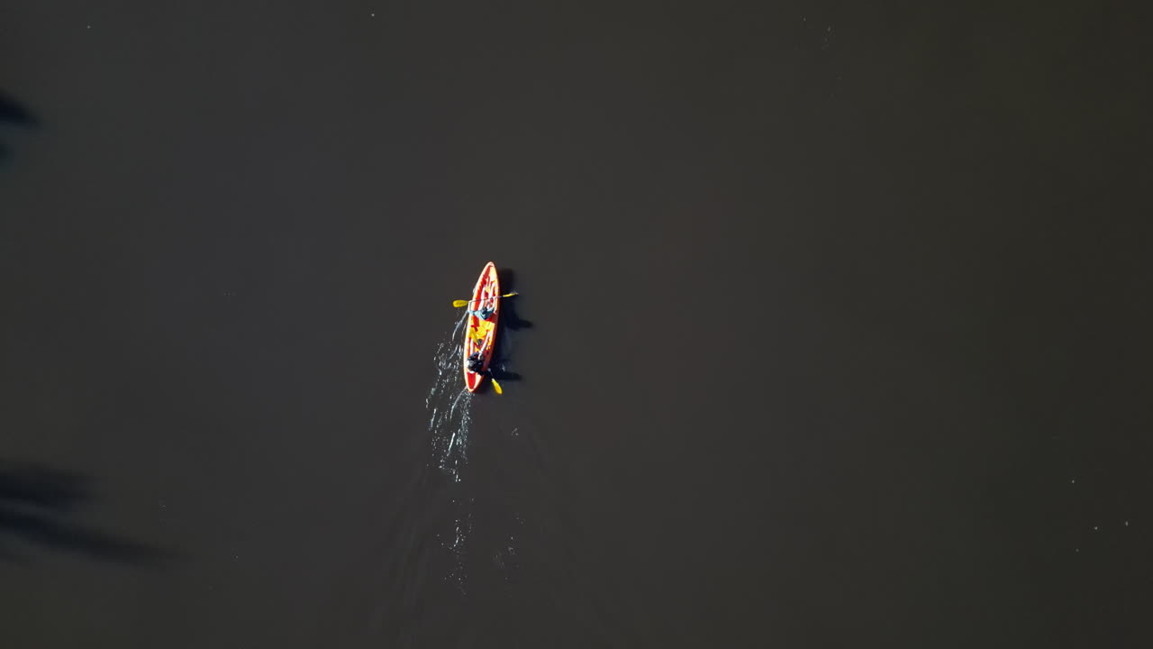 aérea, remo en kayak y lago con deporte