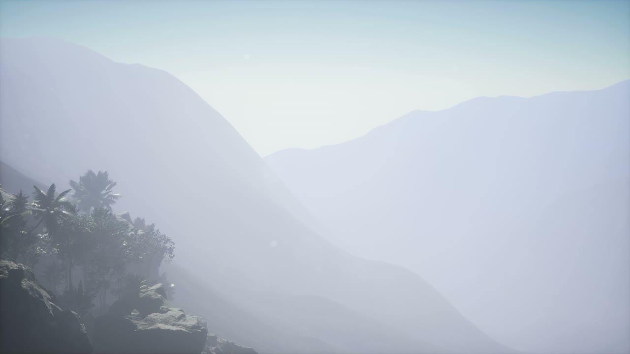 Mountain and Field Landscape with Palms