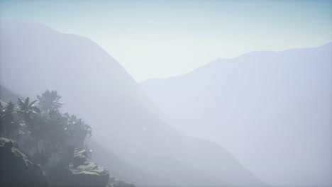 mountain and field landscape with palms